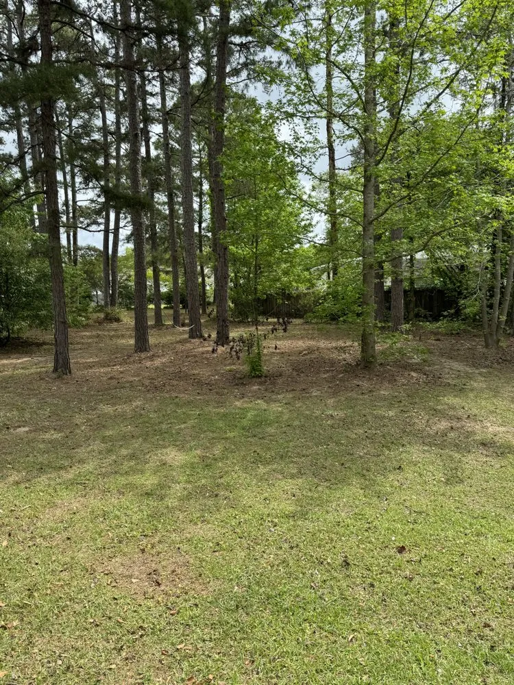 Top-rated garden landscaping experts serving Ladson, SC - Ace’s Lawn Care