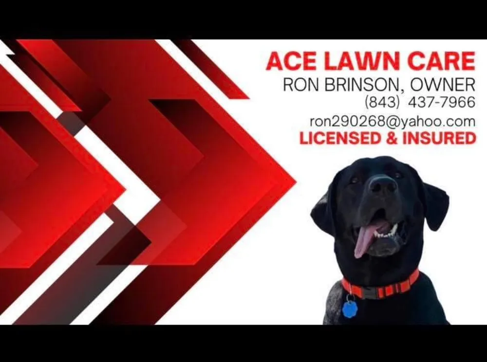 Expert lawn care service in Ladson, SC by Ace’s Lawn Care