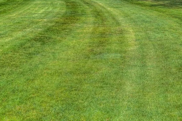 Custom landscape design in Ladson, SC by Ace’s Lawn Care