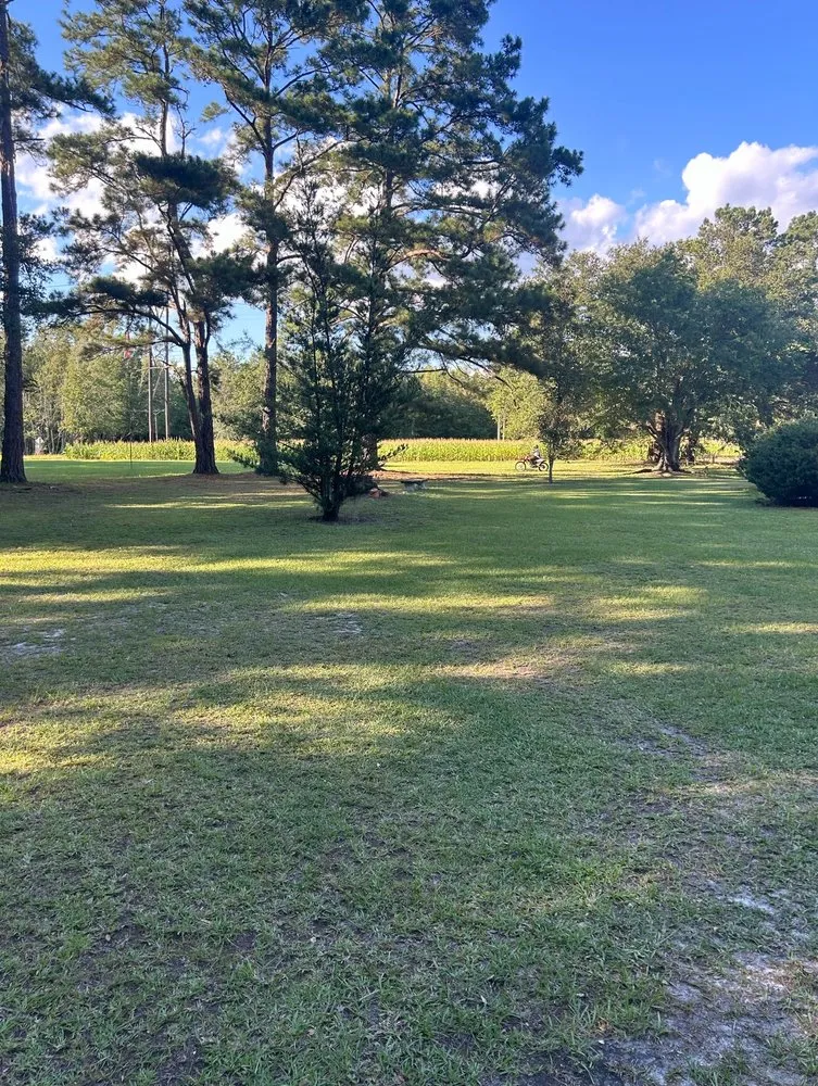 Affordable residential landscaping in Ladson, SC by Ace’s Lawn Care