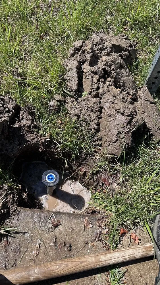 Top-rated garden landscaping experts serving Reno, NV - Aces Lawn Care