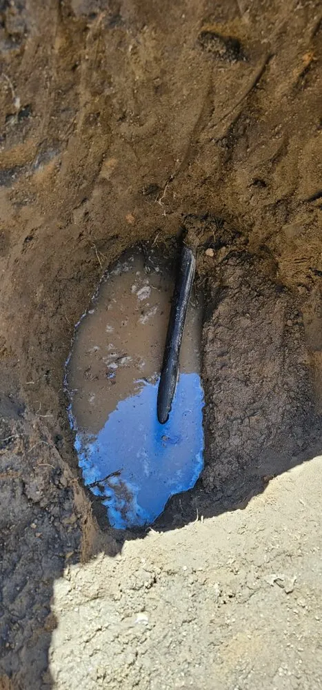 Top-rated residential landscaping experts serving Reno, NV - Aces Lawn Care