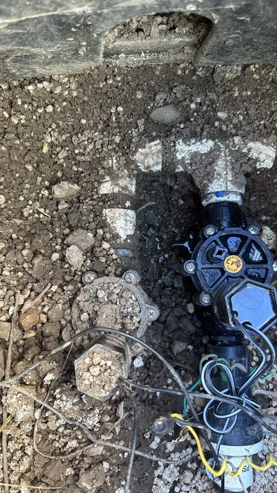 Trusted residential landscaping in Reno, NV by Aces Lawn Care