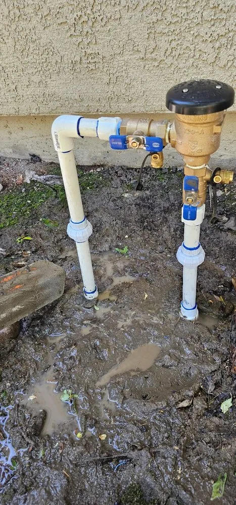 Top-rated outdoor landscaping with custom design in Reno, NV by Aces Lawn Care