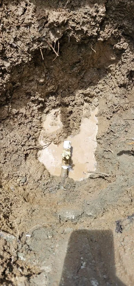 Professional yard maintenance for beautiful yards across Reno, NV - Aces Lawn Care