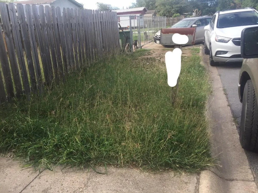 Trusted lawn mowing service for beautiful yards in Weslaco, TX by Ace’s Lawn Care