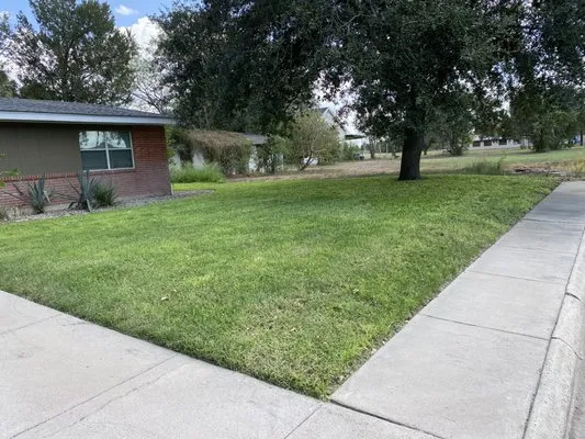 Ace’s Lawn Care Logo