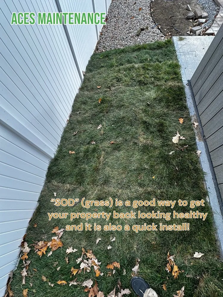 Reliable lawn care service in Lima, OH - Aces Maintenance