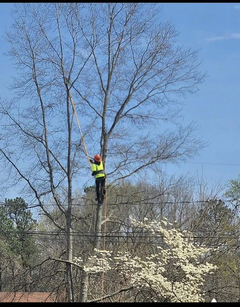 Expert lawn mowing service in Midlothian, VA by Ace’s One Stop Shop