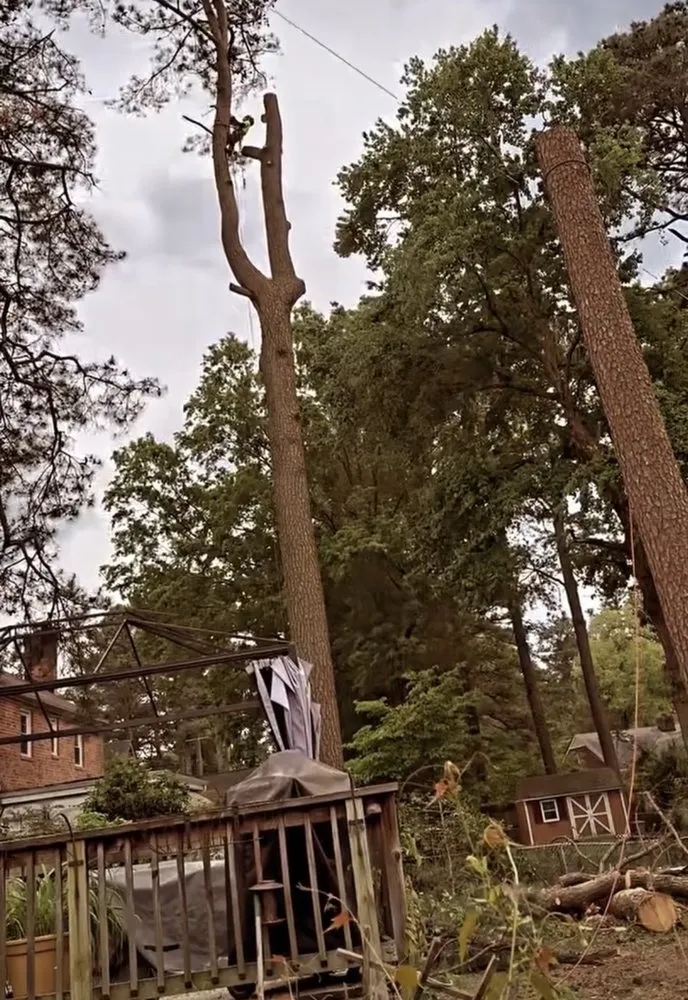 Trusted lawn care service near you in Midlothian, VA by Ace’s One Stop Shop