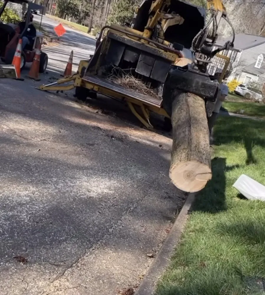 Affordable garden landscaping in Midlothian, VA by Ace’s One Stop Shop