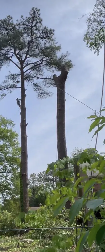 Local yard maintenance experts serving Midlothian, VA - Ace’s One Stop Shop