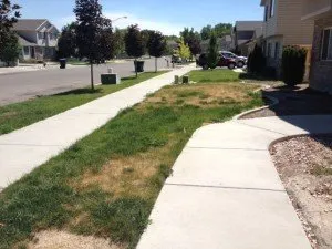 Affordable residential landscaping in Lehi, UT by Ace's Spray