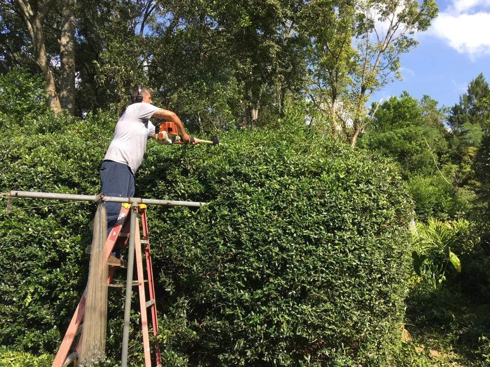 Custom lawn mowing service in Alachua, FL - Aces Tree and Lawn