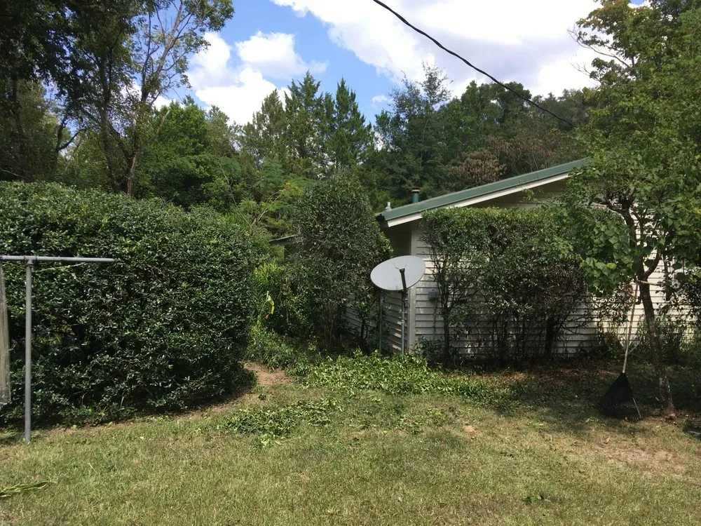 Professional yard maintenance experts serving Alachua, FL - Aces Tree and Lawn