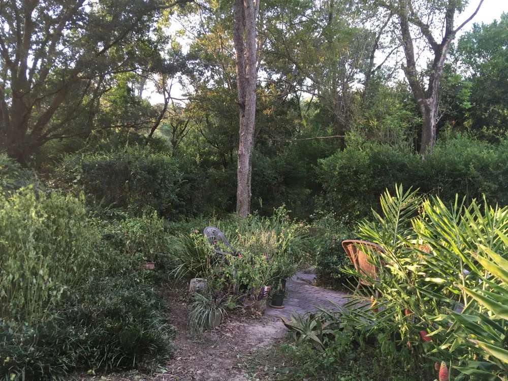 Top-rated garden landscaping in Alachua, FL - Aces Tree and Lawn