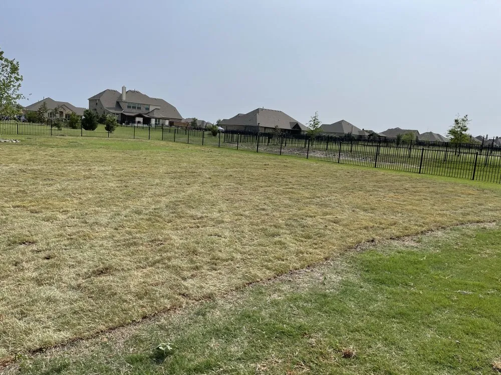 Local lawn mowing service in Dallas, TX - Acevedo’s Landscaping