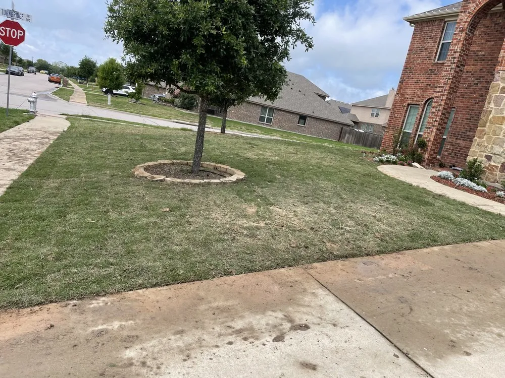 Reliable landscape installation in Dallas, TX by Acevedo’s Landscaping