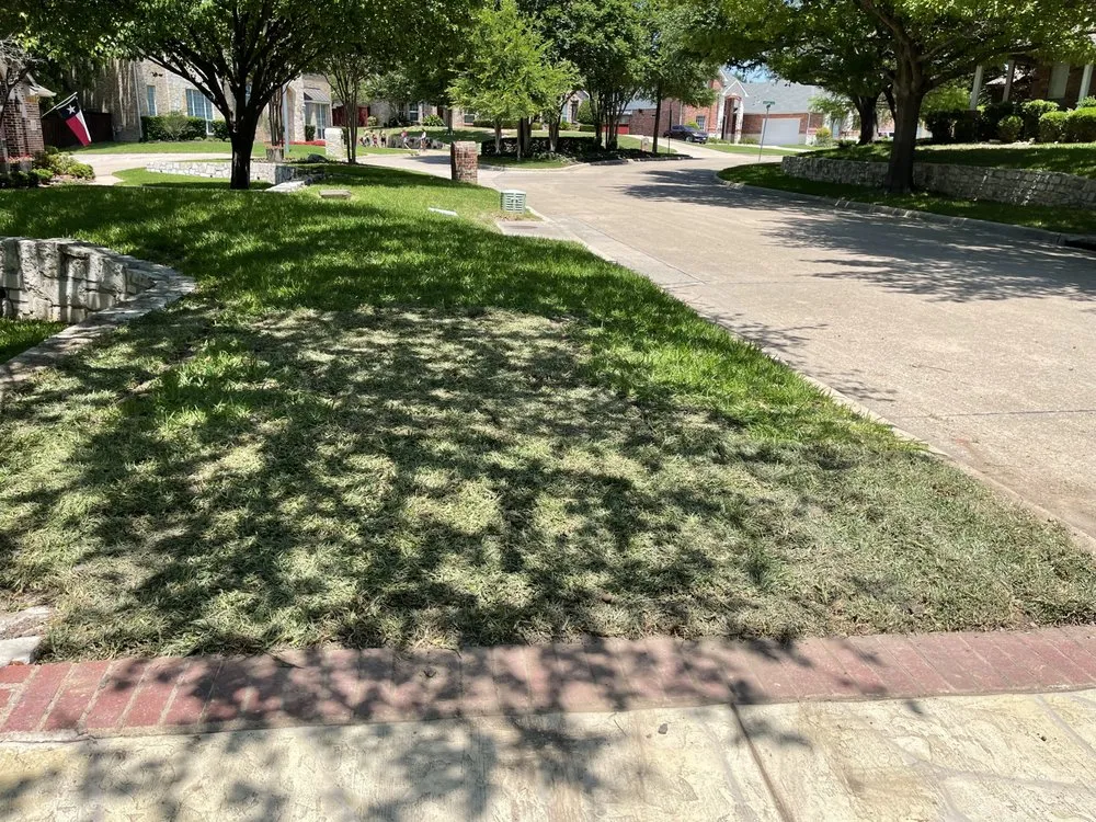 Top-rated landscaping services experts serving Dallas, TX - Acevedo’s Landscaping