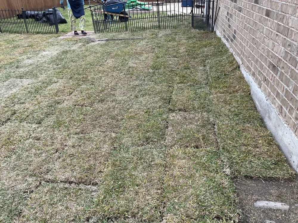 Local yard maintenance with custom design in Dallas, TX by Acevedo’s Landscaping