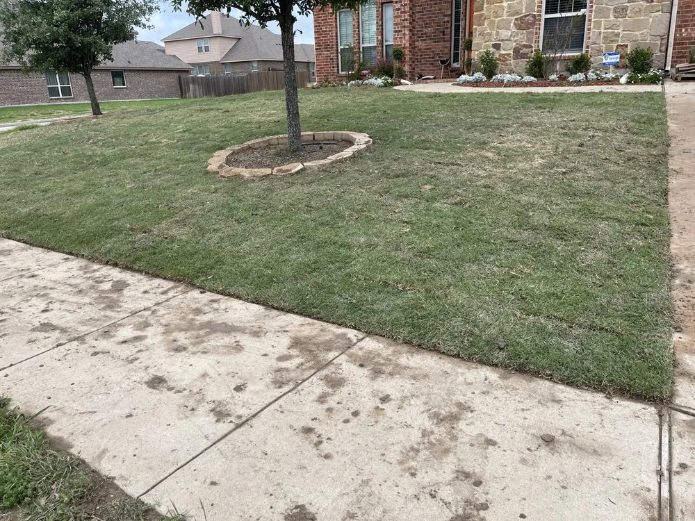 Expert landscape installation in Dallas, TX by Acevedo’s Landscaping