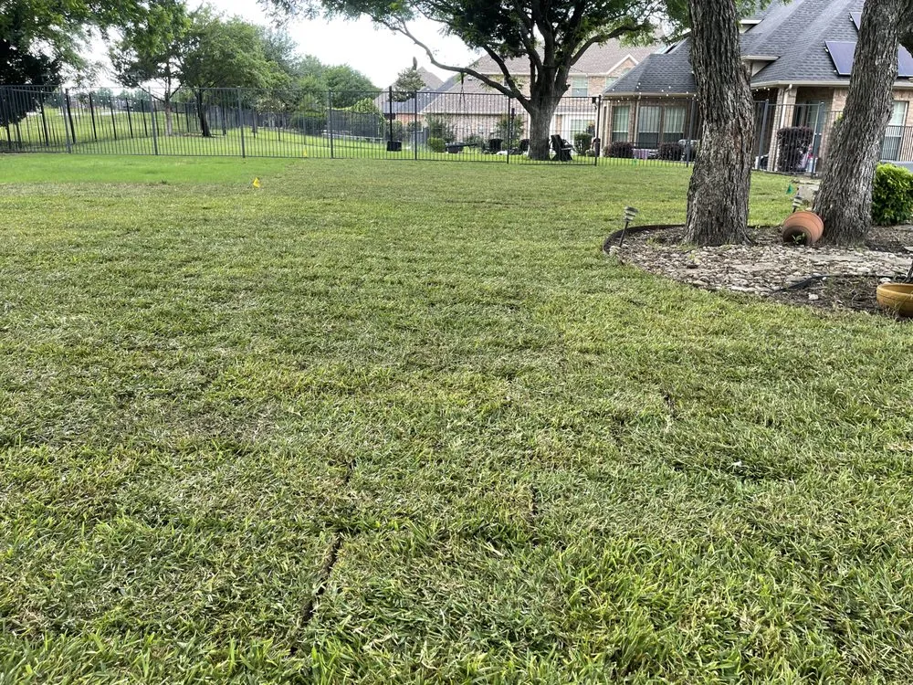 Expert landscape installation experts serving Dallas, TX - Acevedo’s Landscaping