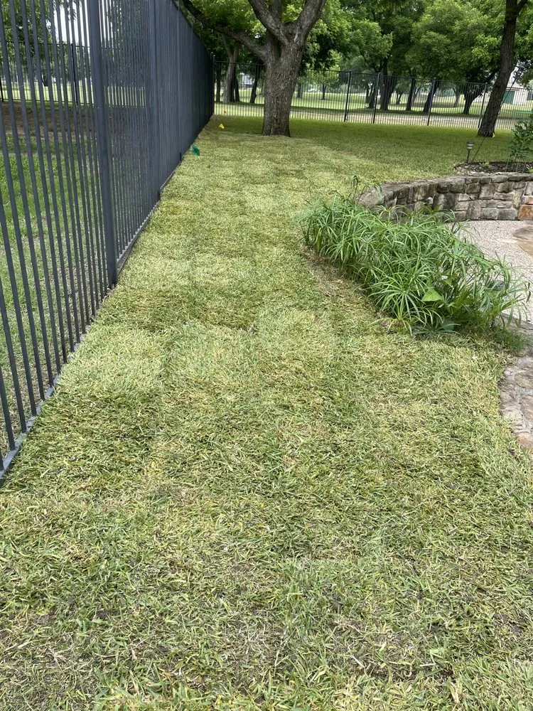 Reliable lawn care service in Dallas, TX - Acevedo’s Landscaping