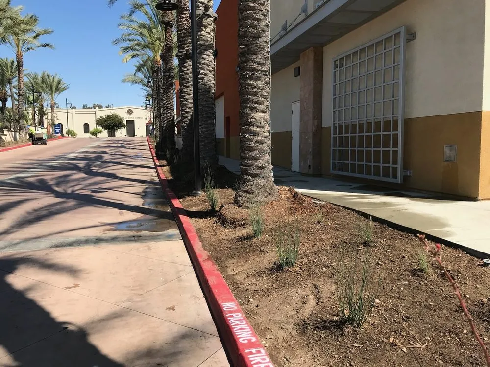 Affordable landscape installation for beautiful yards across Riverside, CA - Aceves Landscape