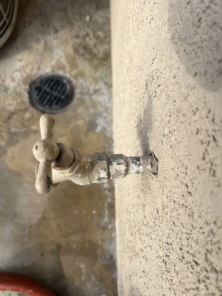 Local yard maintenance in Riverside, CA - Aceves Landscape