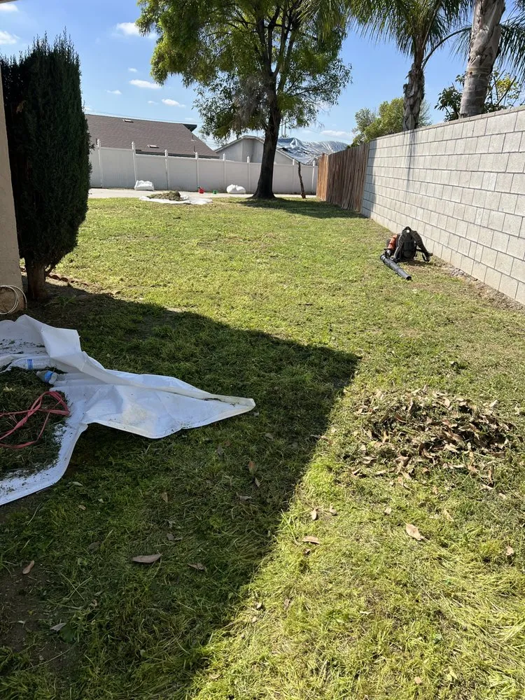 Local lawn care service experts serving Riverside, CA - Aceves Landscape