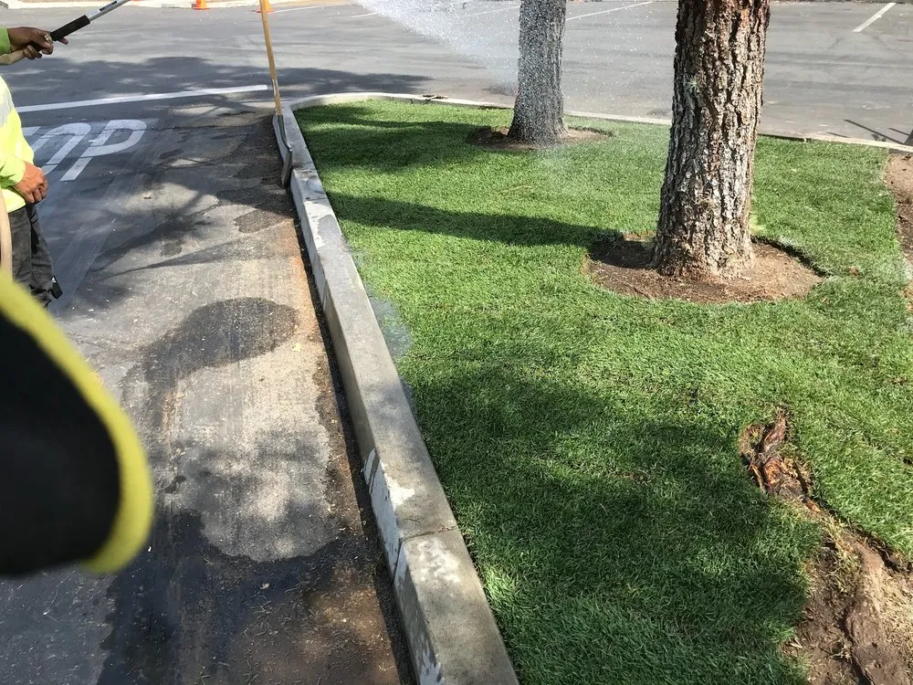 Local residential landscaping for year-round maintenance across Riverside, CA - Aceves Landscape