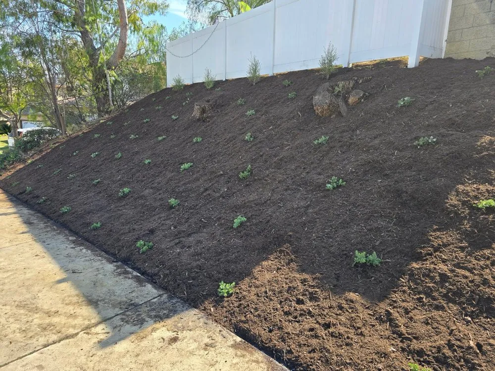 Local yard cleanup service experts serving Riverside, CA - Aceves Landscape