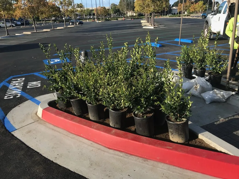 Local garden landscaping experts serving Riverside, CA - Aceves Landscape