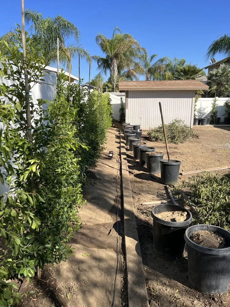 Affordable yard cleanup service experts serving Riverside, CA - Aceves Landscape