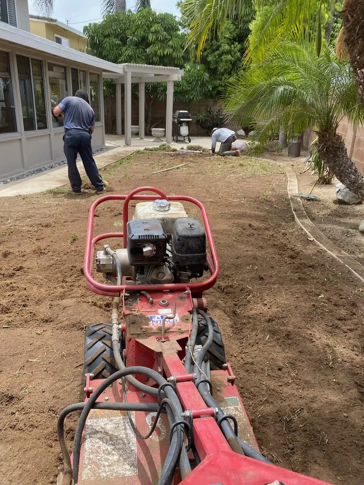 Local yard cleanup service in Riverside, CA - Aceves Landscape