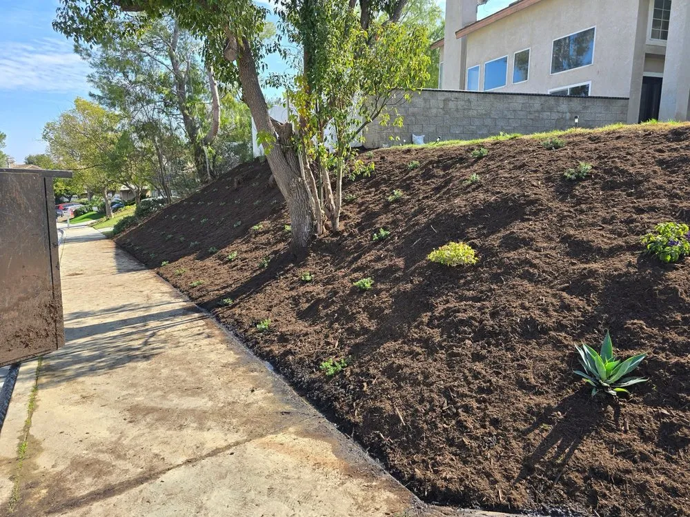 Custom yard maintenance for homes in Riverside, CA by Aceves Landscape