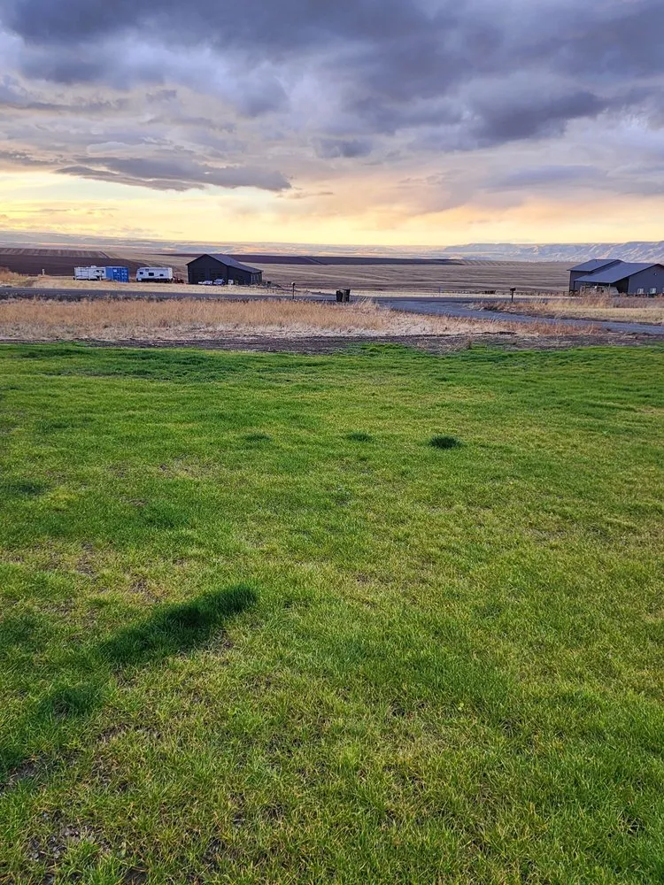 Top-rated yard cleanup service experts serving Clarkston, WA - Acey's Landscape Services