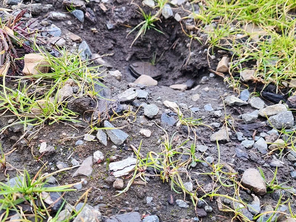 Expert lawn mowing service in Clarkston, WA by Acey's Landscape Services