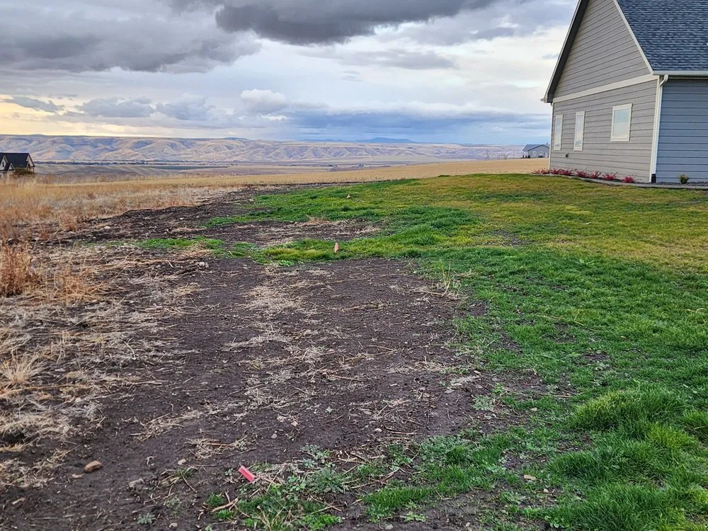 Expert yard cleanup service for year-round maintenance across Clarkston, WA - Acey's Landscape Services