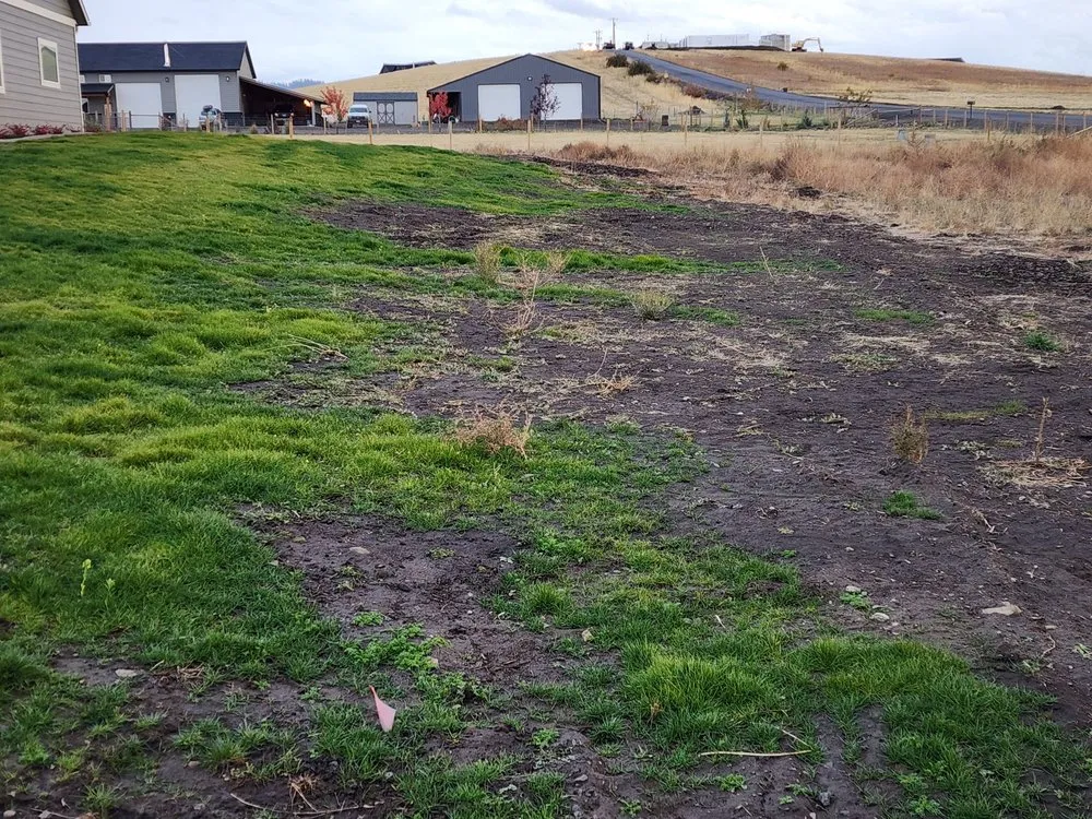 Professional landscape design experts serving Clarkston, WA - Acey's Landscape Services