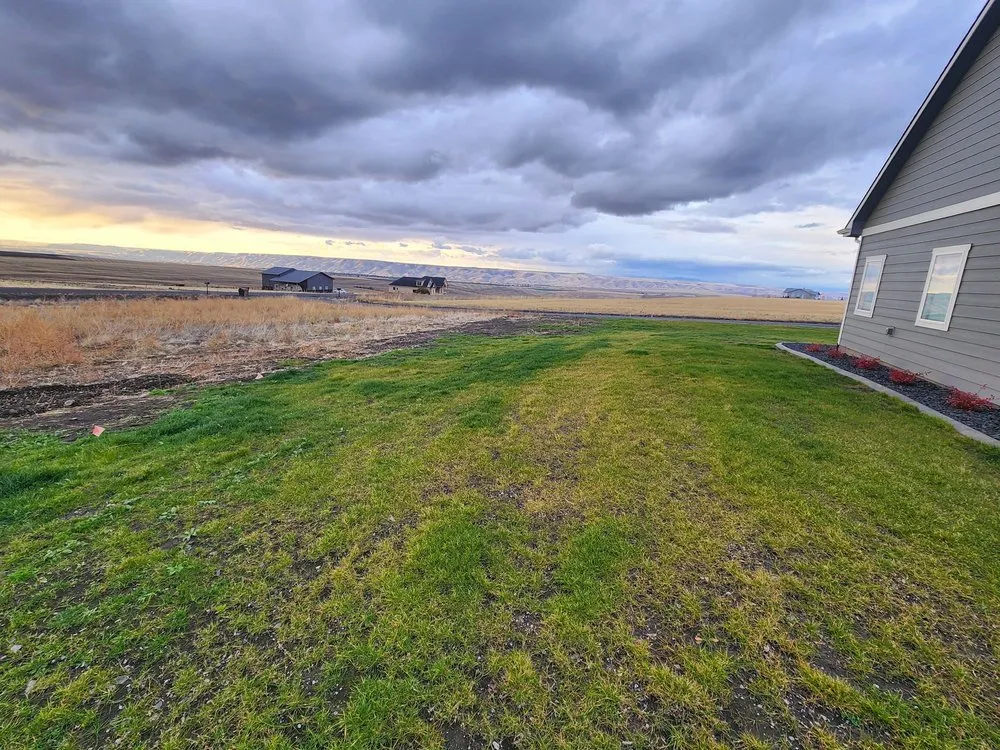 Professional yard cleanup service in Clarkston, WA - Acey's Landscape Services