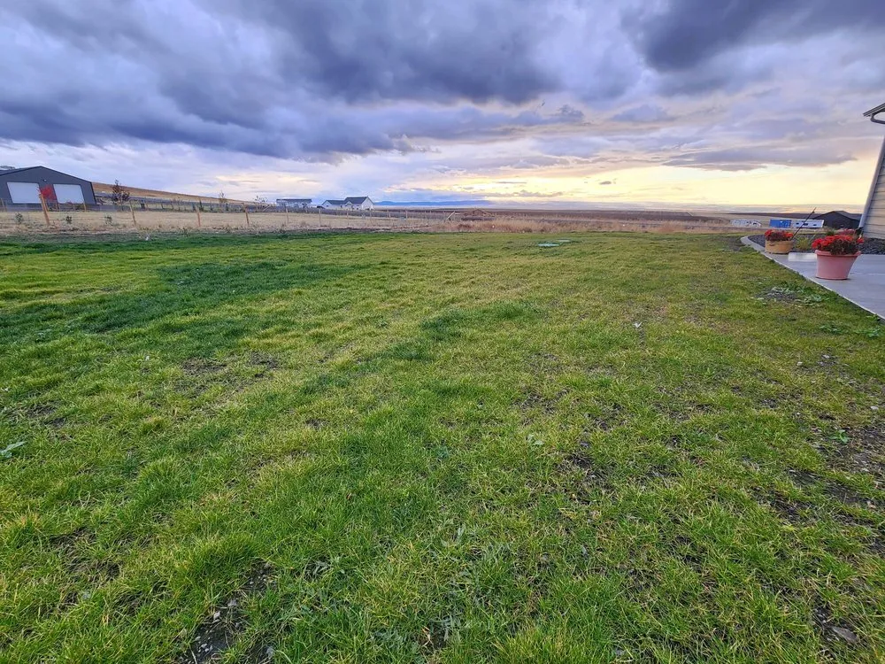 Reliable lawn care service for year-round maintenance in Clarkston, WA by Acey's Landscape Services