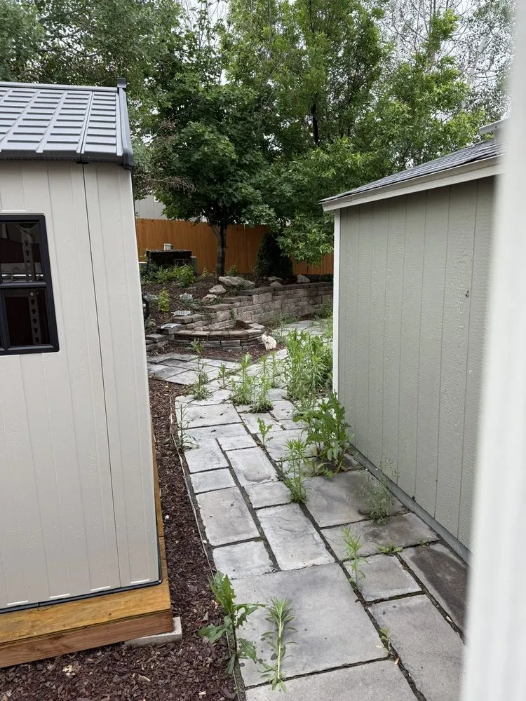 Top-rated yard cleanup service for residential properties in Brighton, CO by ACEZ Landscape Solutions