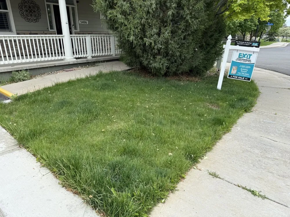 Trusted outdoor landscaping in Brighton, CO - ACEZ Landscape Solutions