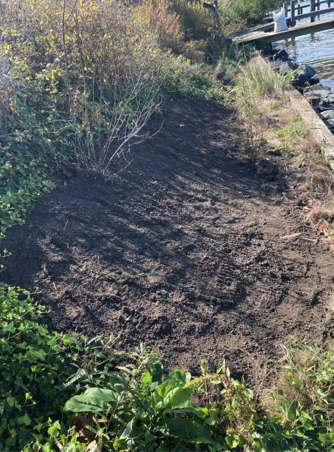 Expert yard maintenance in Dundalk, MD by ACG Landscaping