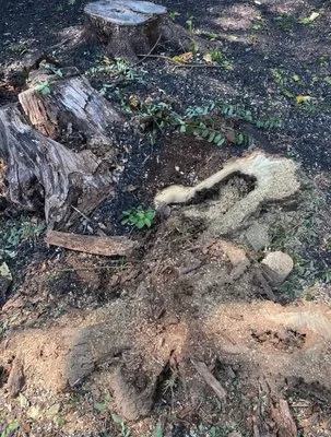 ACG Landscaping Logo