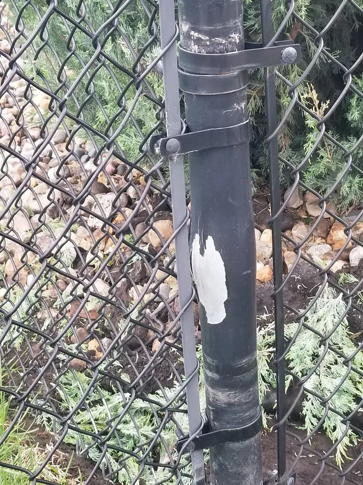 Reliable yard cleanup service in Ankeny, IA by ACG Outdoor Restoration