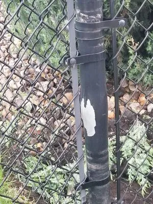 ACG Outdoor Restoration Logo