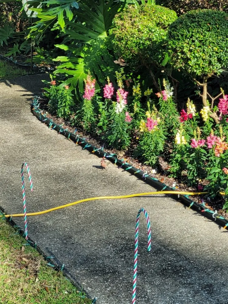 Trusted outdoor landscaping experts serving Niceville, FL - ACH Landscaping