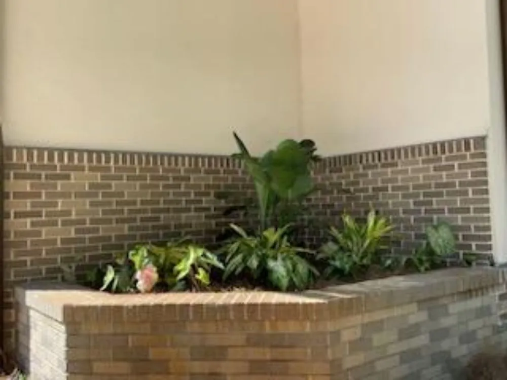 Trusted yard cleanup service in Niceville, FL by ACH Landscaping